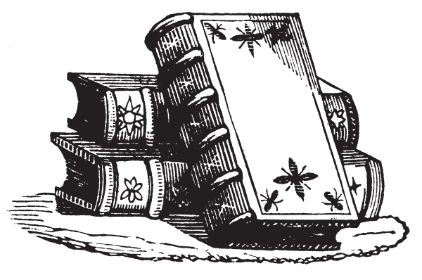 bok illustration